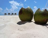 Mexiko Kokos